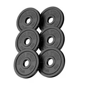 GORILLA SPORTS Set de disques Olympiques en fonte de 30 KG (6 x 5 KG) - alÃ©sage de 51 mm - coloris noir