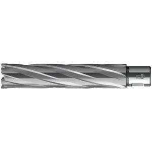Magni, Scie-cloche, Carotteuse HKE-L Weldon HM extra longue, 38/110 mm BDS (38, 110 mm) pas cher