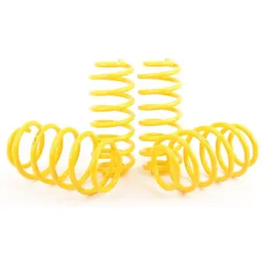 ST Suspensions verlagingsveren (voor 4-motion) 28280093 ST SuspensionsVendu parwinparts