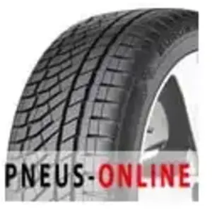 Falken EUROWINTER HS02PRO 245/70 R18 110H pas cher