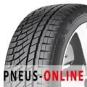 Falken EUROWINTER HS02PRO 225/70 R16 103H pas cher