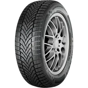 Falken EUROWINTER HS02 205/55 R16 91H pas cher
