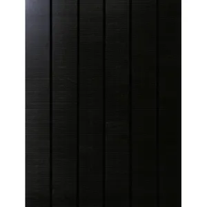 Phaesun Sun Pearl 150 Monokristallijn zonnepaneel 150 Wp 12 V