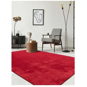 the carpet Relax tapis moelleux à poils courts antidérapant lavable à 30 degrés Rouge 120 x 160 cm pas cher