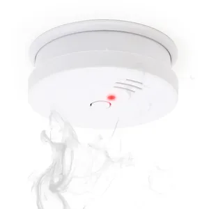 XPOTOOL Wiltec Détecteur de fumée   10 pas cher