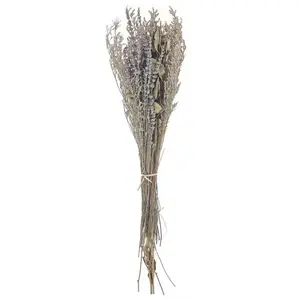 BELIANI Bouquet de Fleurs Séchées Décoratives Préservées 70 cm Violet et Vert Nawarra pas cher