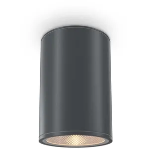 Maytoni, Applique + plafonnier, Bar LED plafonnier, plafonnier 12W gra... pas cher