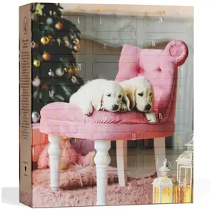 Boxiland Honden Adventskalender 2020 - 1.231g zonder conserveringsmid 