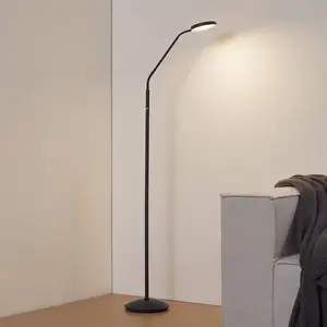 Lindby - LED vloerlamp- met dimmer - 1licht - Metaal, polycarbonaat - H: 150 cm - zwart, transparant - Inclusief lichtbron pas cher
