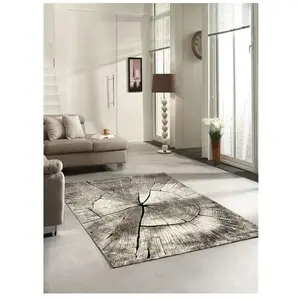 the carpet Marla   Tapis moderne élégant salon/chambre poils courts denses relief profond Nature 80 x 150 cm D29 pas cher
