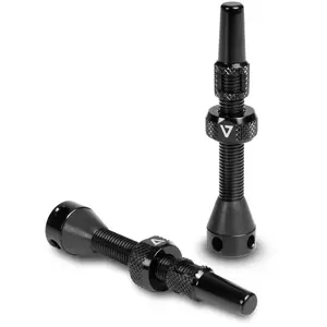 Acid Soupapes Tubeless pas cher