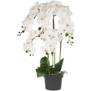 BELIANI Plante artificielle NIOKA Blanc pas cher