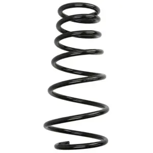 Chassisveer RG5009 Kayaba pas cher