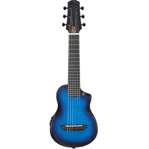 Ibanez AUP10FMNETBO pas cher