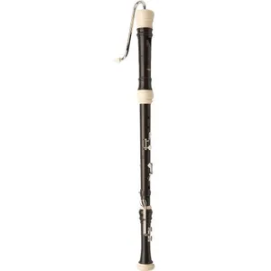 Flute a bec basse en plastique aulos 533 pas cher