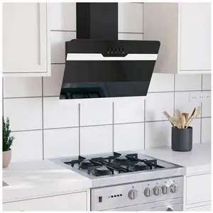 VIDAXL  ON SALE)Hotte murale 60 cm Acier et verre trempé Noir - Hotte ... pas cher