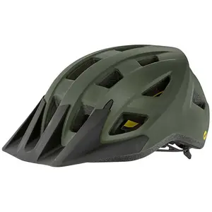 Giant Casque Vtt Path Mips pas cher