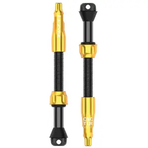 Lezyne Soupapes Pro Tubeless 60 Mm pas cher