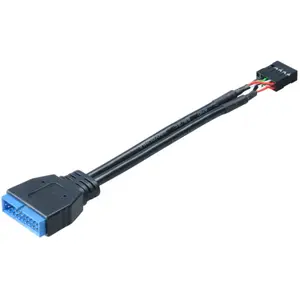Akasa - Cable Adaptateur USB 3.0 vers USB 2.0 Interne - 10 cm - AK-CBUB19-10BK - Noir pas cher