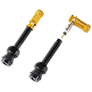 GRANITE Juicy Nipples Paires de Valves Tubeless Cycle + Bouchons démonte Obus Adulte Unisexe, Gold, 80mmVendu parbikeinn