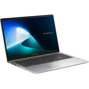 Asus ExpertBook P1 PM1503CDA-S70253X pas cher
