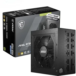 MSI MAG A750GL PCIE5 (750 W), Alimentation PC, Noir pas cher