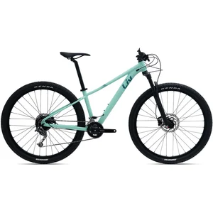 Liv Vtt Tempt 2 Ge 29´´ Deore M592 2022Vendu parbikeinn