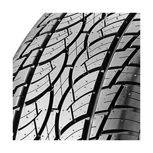 NANKANG Utility SP-7 295/30 ZR22 103Y pas cher