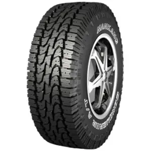 NANKANG Conqueror A/T 235/65 R16 115/113Q pas cher