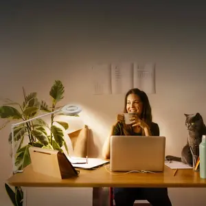 LEDVANCE SUN@HOME PANAN CLIP bureaulamp, ws, 15W. pas cher
