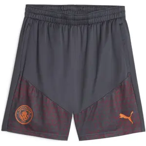 Puma Short Training Manchester City 2023/24 - strong gray/rouge brique - M pas cher