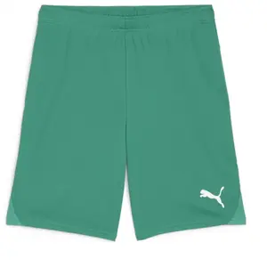 Puma, Garçons, Bas de sport, teamGOAL Short Jr (164), Vert, 164 pas cher
