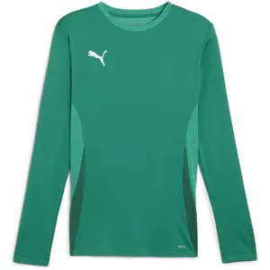 Maillot manches longues Puma TeamGoal - green pas cher