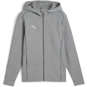 Puma, Garçons, Veste, teamFINAL Casuals Hooded Jkt Jr (140), Gris, 140 pas cher