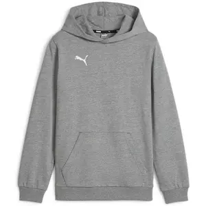 Puma Sweat à Capuche Teamgoal pas cher