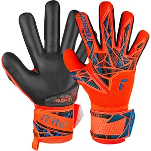 Reusch Gants De Gardien De But Attrakt Silver Nc pas cher