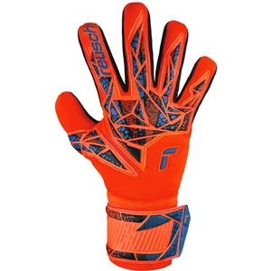Reusch Gants De Gardien De But Attrakt Silver Nc pas cher
