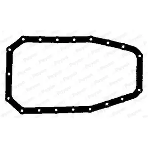 Payen Pakking Carter pas cher