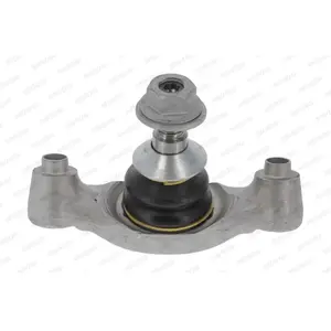 Fuseekogel VVBJ16747 Moog pas cher