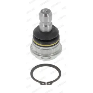 Fuseekogel KIBJ17053 Moog pas cher