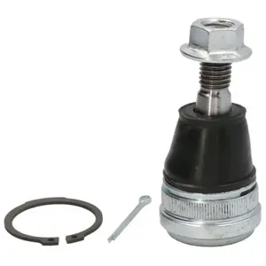 Fuseekogel FDBJ15569 Moog pas cher
