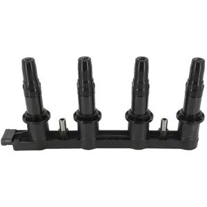 Comparateur de prix : Beru AG Bobine