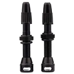 Tune Soupapes Tubeless pas cher