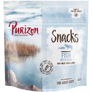 40g Poisson, boeuf sans céréales Purizon Friandises pour chat : -20 % !Vendu parzooplus-be