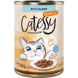 12x400g Bouchées en gelée saumon Catessy - Pâtée pour chat pas cher