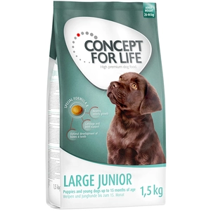 Offre d'essai : croquettes Concept for Life 1 kg ou 1,5 kg pour chien - Large Junior (1,5 kg) pas cher