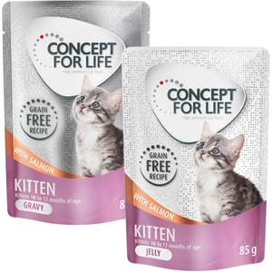 Lot mixte Concept for Life en gelée et en sauce sans céréales 24 x 85 g pour chat - Kitten saumon en sauce et en gelée pas cher