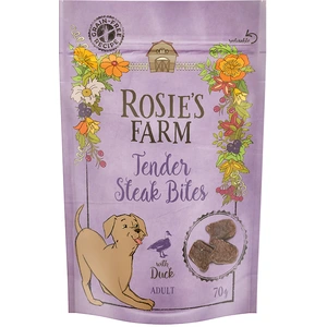 Friandises Rosie's Farm Adult Tendres bouchées canard pour chien - 70 ...Vendu parzooplus-be