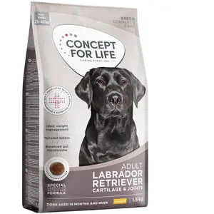 1,5kg Labrador Retriever Adult Concept for Life - Croquettes pour Chien pas cher