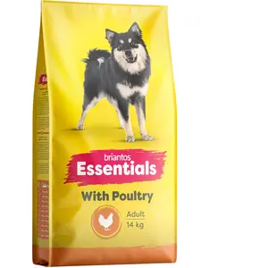 14g Briantos Essentials Adulte volaille croquettes pour chien pas cher